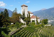 Weinreise Südtirol/Trentino Weinreise Südtirol/Trentino