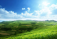 Turin und Piemont Turin und Piemont