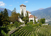 Weinreise Südtirol/Trentino
